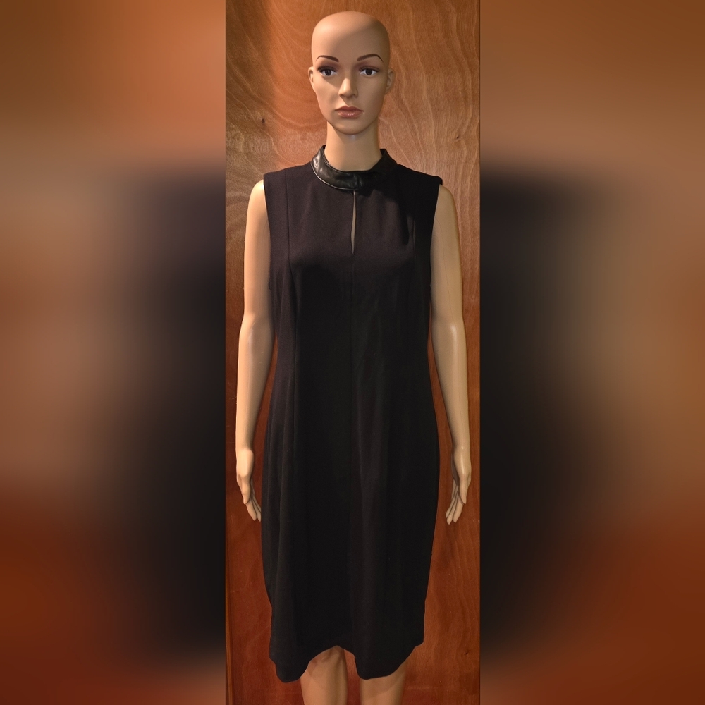 Calvin Klein Black Dress with Leather Accent
